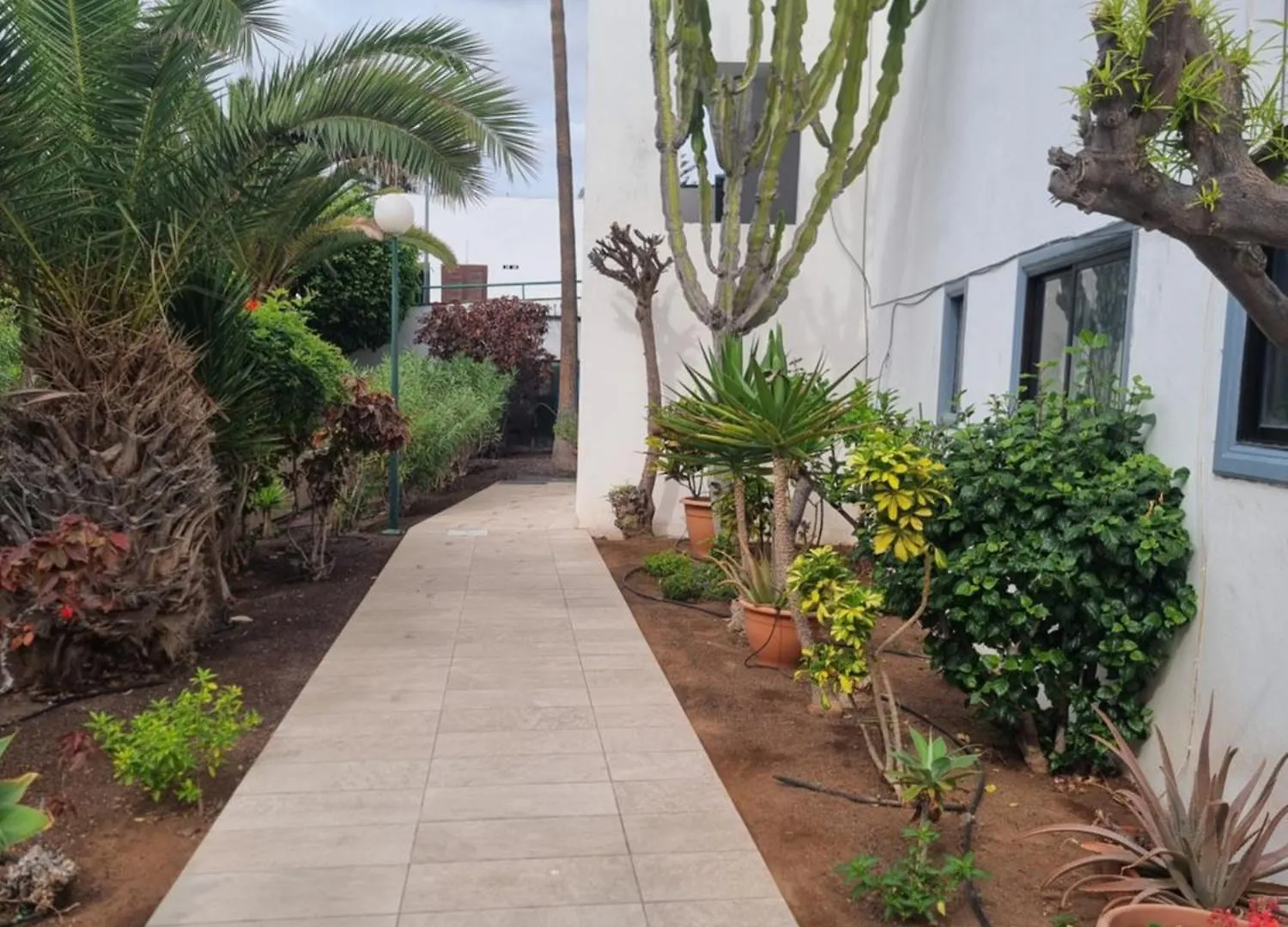 Apartment Arkadia Tenerife Costa Del Silencio